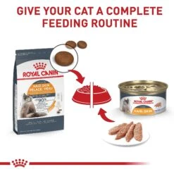 Royal Canin Feline Care Nutrition Hair & Skin Care Dry Cat Food -PurePet Bites Shop 855854 PT5. AC SS1800 V1697758598