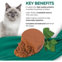 Fussie Cat Fine Dining Mousse Tuna With Pumpkin Entree Wet Cat Food, 2.47-oz Can, Case Of 24 -PurePet Bites Shop 856366 PT2. AC SS1800 V1687875078