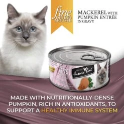 Fussie Cat Fine Dining Mousse Mackerel With Pumpkin Entree Wet Cat Food, 2.47-oz Can, Case Of 24 -PurePet Bites Shop 856414 PT1. AC SS1800 V1687875130
