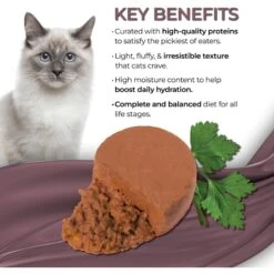 Fussie Cat Fine Dining Mousse Mackerel With Pumpkin Entree Wet Cat Food, 2.47-oz Can, Case Of 24 -PurePet Bites Shop 856414 PT2. AC SS1800 V1687875078