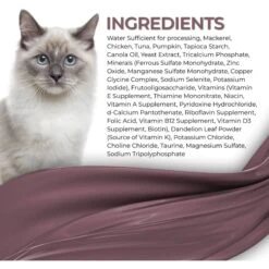 Fussie Cat Fine Dining Mousse Mackerel With Pumpkin Entree Wet Cat Food, 2.47-oz Can, Case Of 24 -PurePet Bites Shop 856414 PT3. AC SS1800 V1687875077