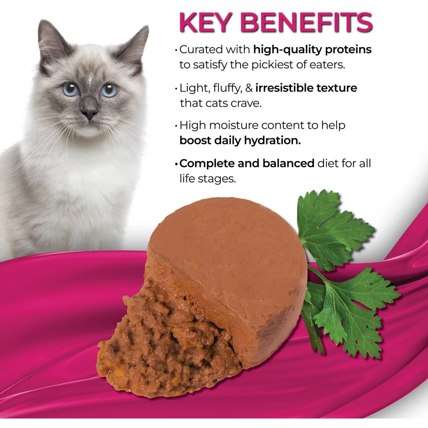 Fussie Cat Fine Dining Mousse Sardine With Pumpkin Entree Wet Cat Food, 2.47-oz Can, Case Of 24 5 Fussie Cat Fine Dining Mousse Sardine With Pumpkin Entree Wet Cat Food, 2.47-oz Can, Case Of 24 - Image 3