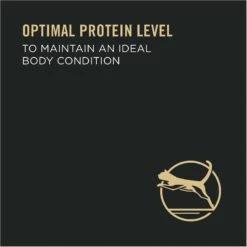 Purina Pro Plan Focus Healthy Metabolism Formula Chicken Entrée In Gravy Adult Canned Cat Food -PurePet Bites Shop 86227 PT5. AC SS1800 V1636673801