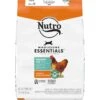 Nutro Wholesome Essentials Indoor Chicken & Brown Rice Recipe Adult Dry Cat Food -PurePet Bites Shop 86712 MAIN. AC SS1800 V1702665822