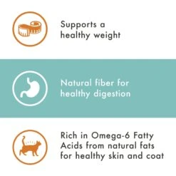 Nutro Wholesome Essentials Indoor Chicken & Brown Rice Recipe Adult Dry Cat Food -PurePet Bites Shop 86712 PT4. AC SS1800 V1702666061