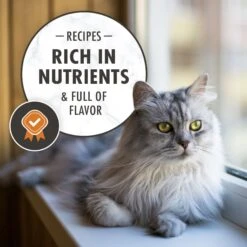 Nutro Wholesome Essentials Indoor Chicken & Brown Rice Recipe Adult Dry Cat Food -PurePet Bites Shop 86712 PT8. AC SS1800 V1702666063
