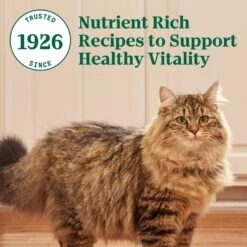 Nutro Wholesome Essentials Hairball Control Chicken & Brown Rice Recipe Adult Dry Cat Food 19 Nutro Wholesome Essentials Hairball Control Chicken & Brown Rice Recipe Adult Dry Cat Food -PurePet Bites Shop 86768 PT8. AC SS1800 V1702665822