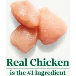 Nutro Wholesome Essentials Chicken & Brown Rice Recipe Senior Dry Cat Food -PurePet Bites Shop 86792 PT3. AC SS1800 V1702666054