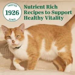 Nutro Wholesome Essentials Chicken & Brown Rice Recipe Senior Dry Cat Food -PurePet Bites Shop 86792 PT8. AC SS1800 V1702666050
