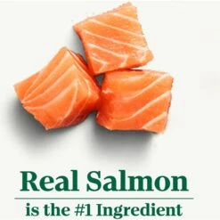 Nutro Wholesome Essentials Adult Salmon & Brown Rice Recipe Dry Cat Food -PurePet Bites Shop 86818 PT3. AC SS1800 V1702666116