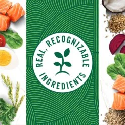 Nutro Wholesome Essentials Adult Salmon & Brown Rice Recipe Dry Cat Food -PurePet Bites Shop 86818 PT7. AC SS1800 V1702666126