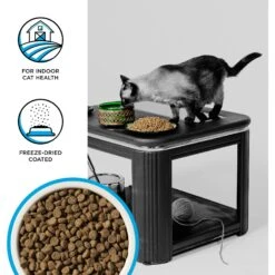 BIXBI Rawbble Dry Food Chicken Salmon Recipe For Indoor Cats, 3-lb Bag 12 BIXBI Rawbble Dry Food Chicken Salmon Recipe For Indoor Cats, 3-lb Bag -PurePet Bites Shop 870966 PT2. AC SS1800 V1691515656