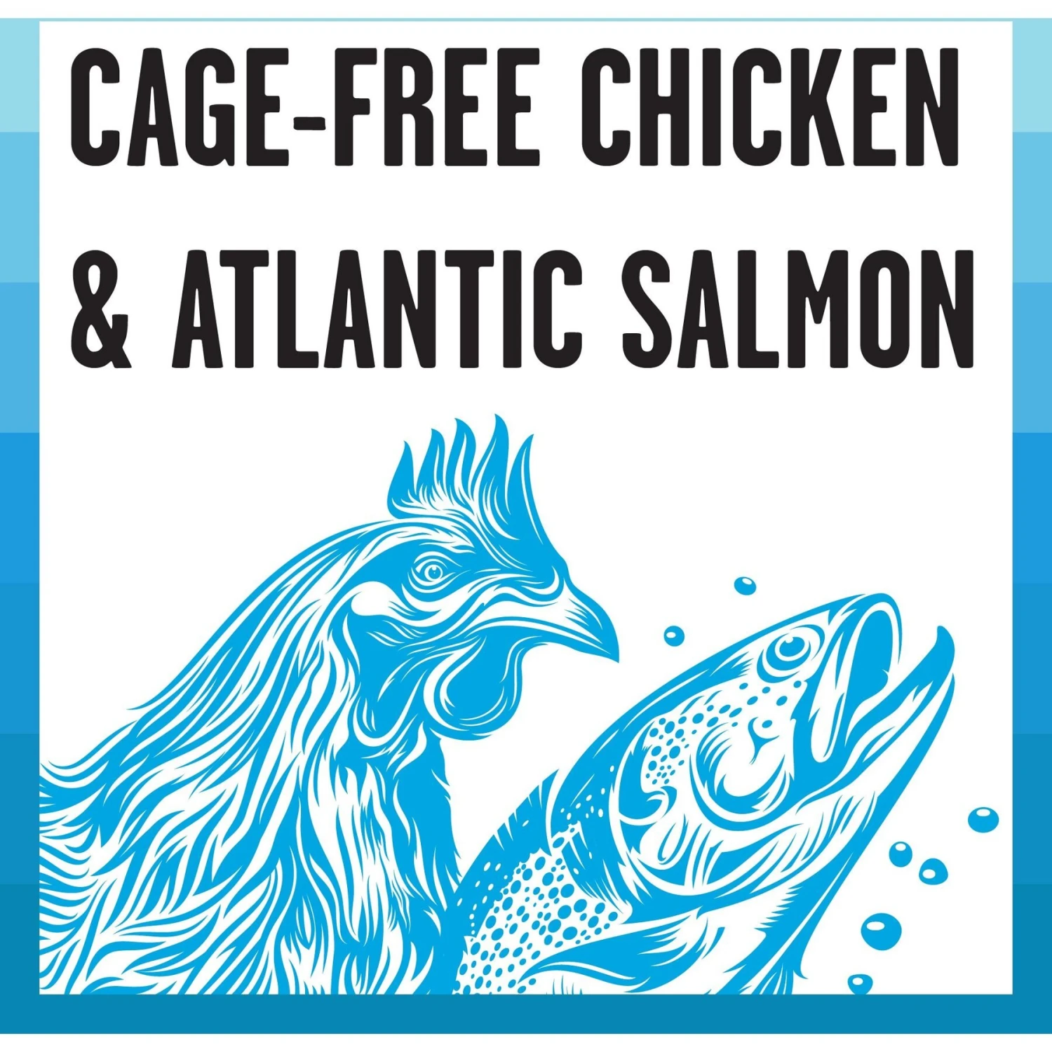 BIXBI Rawbble Dry Food Chicken Salmon Recipe For Indoor Cats, 3-lb Bag 8 BIXBI Rawbble Dry Food Chicken Salmon Recipe For Indoor Cats, 3-lb Bag - Image 6