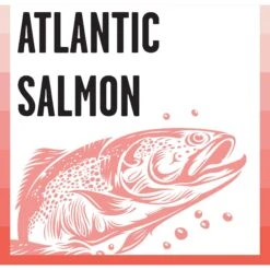 BIXBI Rawbble Dry Food Salmon Recipe For Cats, 10-lb Bag -PurePet Bites Shop 871014 PT4. AC SS1800 V1691515655