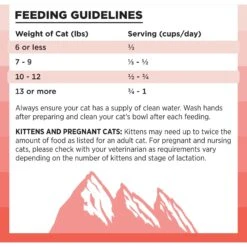 BIXBI Rawbble Dry Food Salmon Recipe For Cats, 10-lb Bag -PurePet Bites Shop 871014 PT6. AC SS1800 V1691515597