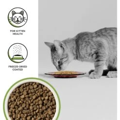 BIXBI Rawbble Dry Food Chicken Recipe For Kittens, 2.5-lb Bag 12 BIXBI Rawbble Dry Food Chicken Recipe For Kittens, 2.5-lb Bag -PurePet Bites Shop 871030 PT2. AC SS1800 V1691515544