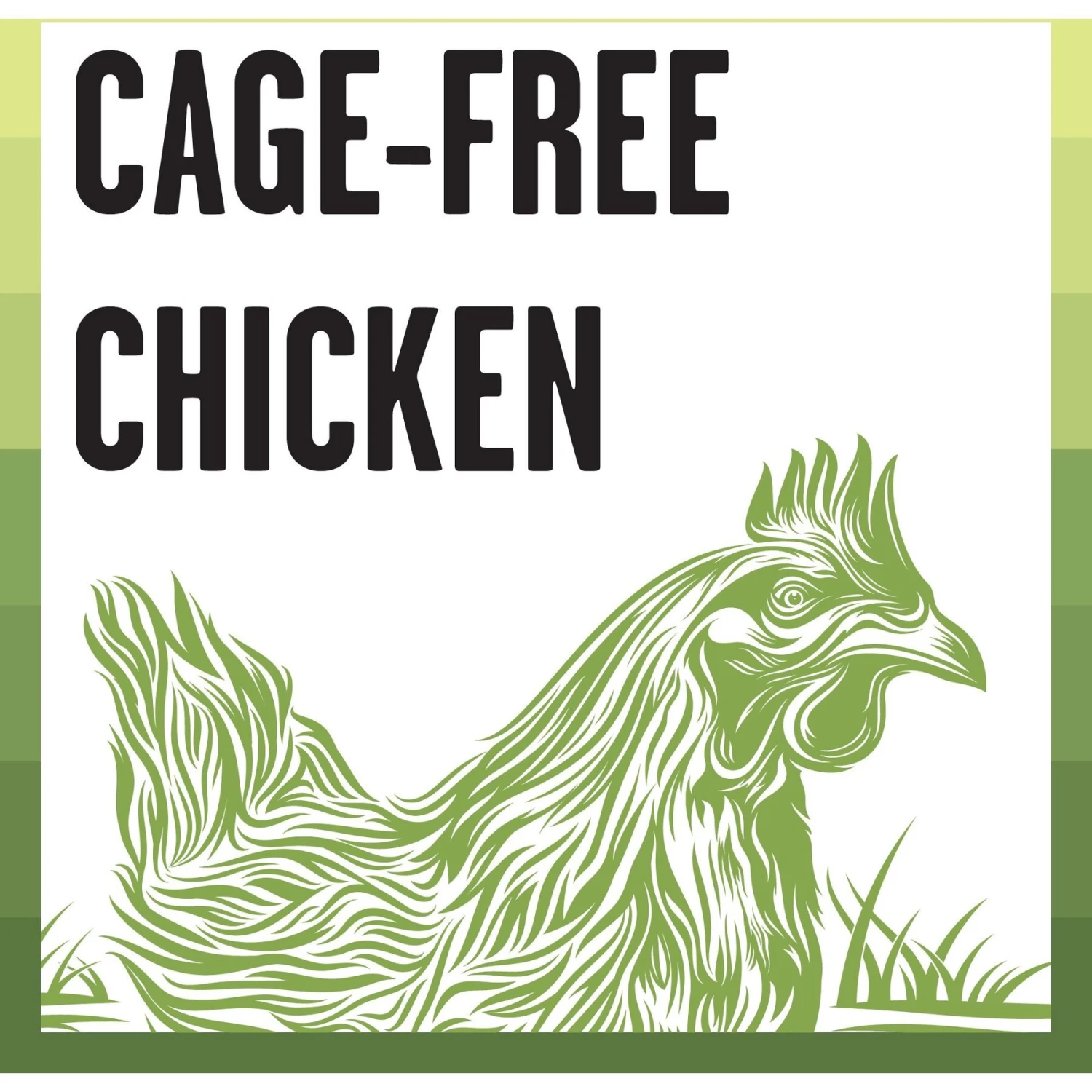 BIXBI Rawbble Dry Food Chicken Recipe For Kittens, 2.5-lb Bag 8 BIXBI Rawbble Dry Food Chicken Recipe For Kittens, 2.5-lb Bag - Image 6