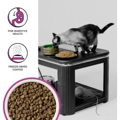 BIXBI Rawbble Dry Food Chicken Digestive Health Recipe For Cats, 3-lb Bag -PurePet Bites Shop 871062 PT2. AC SS1800 V1691515542