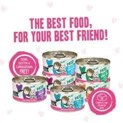 Weruva B.F.F. PLAY Best Feline Friend Lovers Aw Yeah! Pinky Promise Paté! Variety Pack Grain-Free Wet Cat Food, 2.8-oz Can, Case Of 12 -PurePet Bites Shop 875518 PT4. AC SS1800 V1685992095