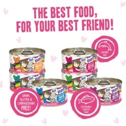 Weruva B.F.F. OMG Best Feline Friend Oh My Gravy! Tickle Me Pinks! Variety Pack Grain-Free Wet Cat Food, 2.8-oz Can, Case Of 12 15 Weruva B.F.F. OMG Best Feline Friend Oh My Gravy! Tickle Me Pinks! Variety Pack Grain-Free Wet Cat Food, 2.8-oz Can, Case Of 12 -PurePet Bites Shop 875534 PT4. AC SS1800 V1685990312