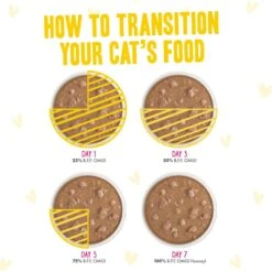 Weruva B.F.F. OMG Best Feline Friend Oh My Gravy! Yahoo Yellows! Variety Pack Grain-Free Wet Cat Food, 2.8-oz Can, Case Of 12 -PurePet Bites Shop 875550 PT7. AC SS1800 V1685992091