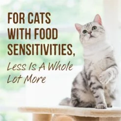 Merrick Limited Ingredient Diet Grain-Free Real Turkey Pate Recipe Canned Cat Food 17 Merrick Limited Ingredient Diet Grain-Free Real Turkey Pate Recipe Canned Cat Food -PurePet Bites Shop 87839 PT6. AC SS1800 V1696442433