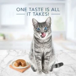 Blue Buffalo Tastefuls Natural Pate Turkey & Chicken Entree Wet Cat Food, 3-oz Can, Case Of 12 -PurePet Bites Shop 879326 PT3. AC SS1800 V1687358056