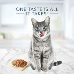 Blue Buffalo Tastefuls Natural Flaked Wet Fish & Shrimp Entree In Gravy Cat Food, 3-oz Can, Case Of 12 -PurePet Bites Shop 879374 PT3. AC SS1800 V1687358511