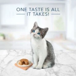 Blue Buffalo Tastefuls Natural Kitten Pate Chicken Entree Wet Cat Food Multi-Pack, 3-oz Can, Case Of 6 -PurePet Bites Shop 879486 PT2. AC SS1800 V1694720227