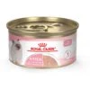 Royal Canin Feline Health Nutrition Kitten Loaf In Sauce Canned Cat Food 2 Royal Canin Feline Health Nutrition Kitten Loaf In Sauce Canned Cat Food -PurePet Bites Shop 88020 MAIN. AC SS1800 V1697732931