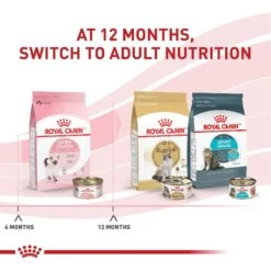 Royal Canin Feline Health Nutrition Kitten Loaf In Sauce Canned Cat Food 12 Royal Canin Feline Health Nutrition Kitten Loaf In Sauce Canned Cat Food -PurePet Bites Shop 88020 PT1. AC SS1800 V1697754447