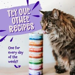 Earthborn Holistic Chicken Fricatssee Grain-Free Natural Adult Canned Cat Food -PurePet Bites Shop 88110 PT7. AC SS1800 V1684524211