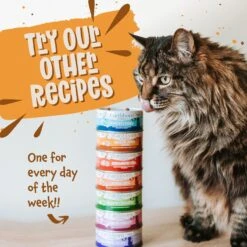 Earthborn Holistic Chicken Jumble With Liver Grain-Free Natural Canned Cat & Kitten Food -PurePet Bites Shop 88113 PT7. AC SS1800 V1684524199