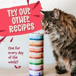 Earthborn Holistic Ranch House Stew Grain-Free Natural Canned Cat & Kitten Food -PurePet Bites Shop 88116 PT7. AC SS1800 V1684524260