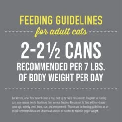 Tiki Cat After Dark Pate+ Variety Pack Grain-Free Wet Cat Food -PurePet Bites Shop 883510 PT4. AC SS1800 V1690567172