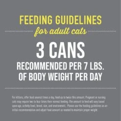 Tiki Cat After Dark Variety Pack Grain-Free Wet Cat Food, 2.8-oz Tray, Case Of 18 -PurePet Bites Shop 883534 PT4. AC SS1800 V1690562127