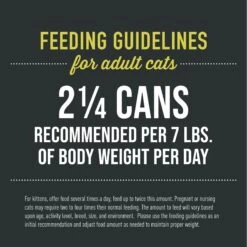 Tiki Cat After Dark Pate+ Chicken Grain-Free Wet Cat Food 15 Tiki Cat After Dark Pate+ Chicken Grain-Free Wet Cat Food -PurePet Bites Shop 883798 PT5. AC SS1800 V1688156837