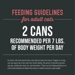 Tiki Cat After Dark Pate+ Chicken & Beef Grain-Free Wet Cat Food 15 Tiki Cat After Dark Pate+ Chicken & Beef Grain-Free Wet Cat Food -PurePet Bites Shop 883846 PT5. AC SS1800 V1690492473