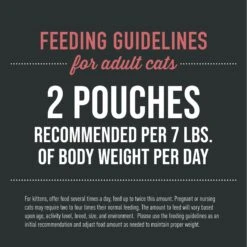 Tiki Cat After Dark Velvet Mousse Chicken & Beef Grain-Free Wet Cat Food, 2.8-oz Pouch, Case Of 12 -PurePet Bites Shop 883942 PT5. AC SS1800 V1688154741