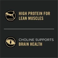 Purina Pro Plan Vital Systems Chicken & Egg Formula 4-in-1 Dry Cat Food -PurePet Bites Shop 885982 PT7. AC SS1800 V1688580431