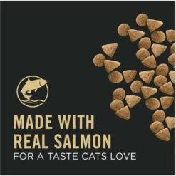 Purina Pro Plan Vital Systems Salmon & Egg Formula 4-in-1 Dry Cat Food -PurePet Bites Shop 886014 PT2. AC SS1800 V1688580556