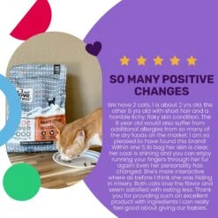 I And Love And You Nude Food Poultry A Plenty Grain-Free Dry Cat Food -PurePet Bites Shop 89290 PT3. AC SS1800 V1688157528