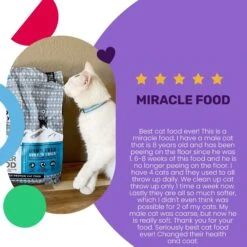 I And Love And You Nude Super Food Surf 'n Chick Grain-Free Dry Cat Food -PurePet Bites Shop 89293 PT3. AC SS1800 V1688158391
