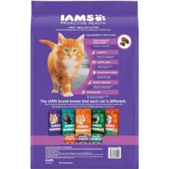 Iams ProActive Health Kitten Dry Cat Food & Temptations Salmon & Dairy Flavor Crunchy & Soft Kitten Treats -PurePet Bites Shop 894270 PT2. AC SS1800 V1687200687