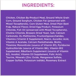 Iams ProActive Health Kitten Dry Cat Food & Temptations Salmon & Dairy Flavor Crunchy & Soft Kitten Treats -PurePet Bites Shop 894270 PT3. AC SS1800 V1687200664