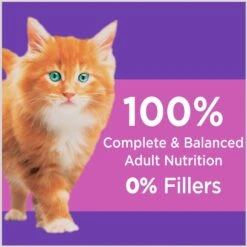 Iams ProActive Health Kitten Dry Cat Food & Temptations Salmon & Dairy Flavor Crunchy & Soft Kitten Treats -PurePet Bites Shop 894270 PT4. AC SS1800 V1687200652
