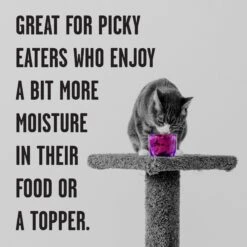 BIXBI Rawbble Chicken Pate Wet Food For Cats, 2.75-oz Can, Case Of 24 -PurePet Bites Shop 895278 PT3. AC SS1800 V1689010945