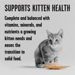 BIXBI Rawbble Chicken Pate Wet Food For Kittens, 5-oz Can, Case Of 24 -PurePet Bites Shop 895454 PT2. AC SS1800 V1689017845