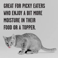 BIXBI Rawbble Chicken Pate Wet Food For Kittens, 5-oz Can, Case Of 24 -PurePet Bites Shop 895454 PT4. AC SS1800 V1689017852