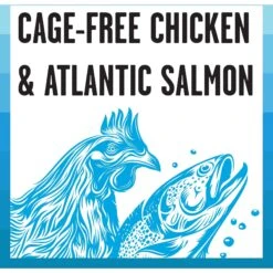 BIXBI Rawbble Chicken & Salmon Shreds In Broth Wet Food For Cats, 5-oz Can, Case Of 24 -PurePet Bites Shop 895470 PT2. AC SS1800 V1689017082